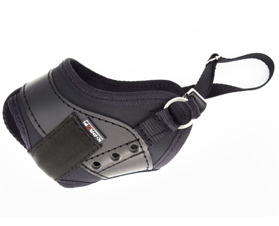 Botnita profesionala pentru Rottweiler