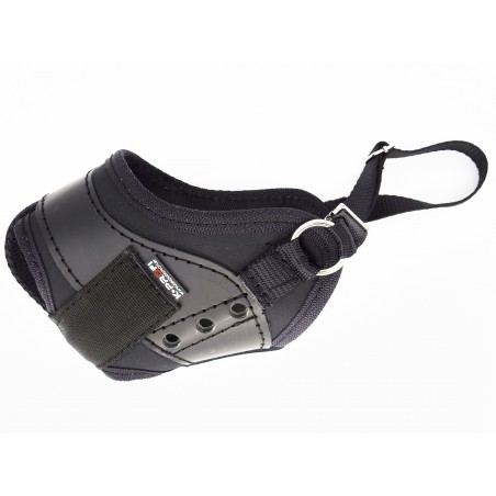 Botnita profesionala pentru Rottweiler