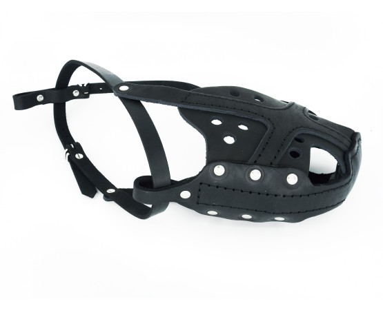 Botnita profesionala pentru Rottweiler confectionata din piele naturala