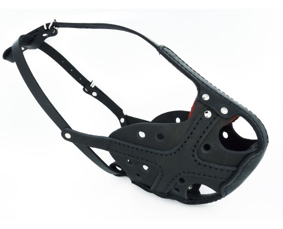 Botnita profesionala pentru Rottweiler confectionata din piele naturala