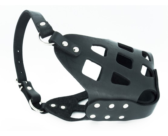 Botnita din piele pentru Ciobanesc German