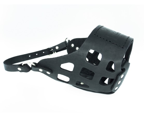 Botnita din piele pentru Ciobanesc German