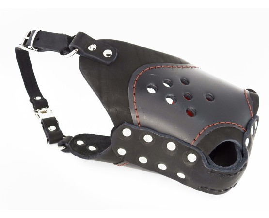 Botnita profesionala pentru Ciobanesc German