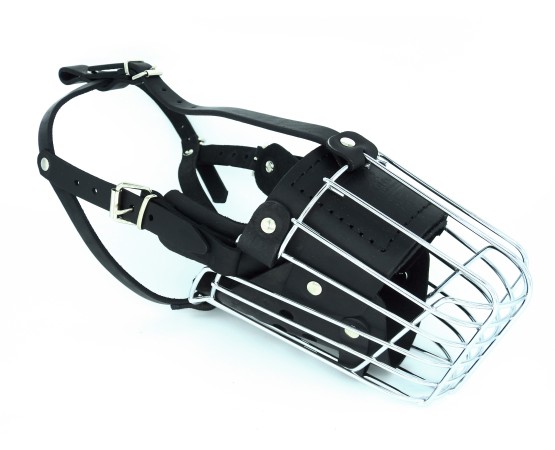 Botnita atac Ciobanesc German