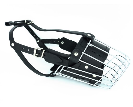 Botnita atac Ciobanesc German