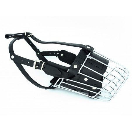 Botnita atac Ciobanesc German