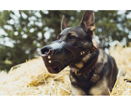 Botnita profesionala Ciobanesc German