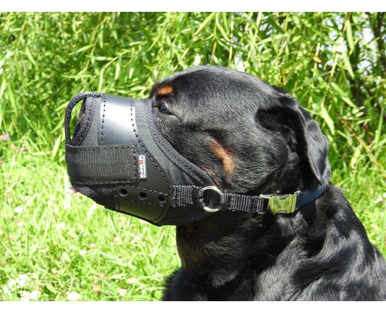 Botnita profesionala pentru Rottweiler