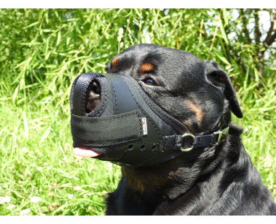 Botnita profesionala pentru Rottweiler