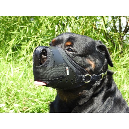 Botnita profesionala pentru Rottweiler