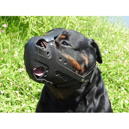 Botnita profesionala pentru Rottweiler confectionata din piele naturala