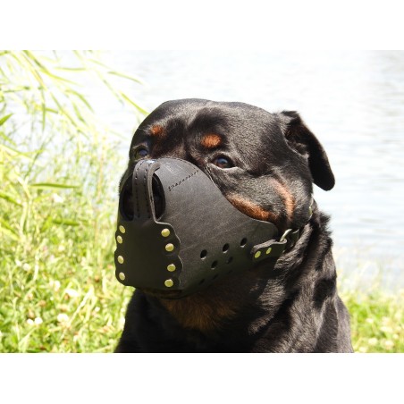 Botnita militara Rottweiler , confectionata din piele naturala