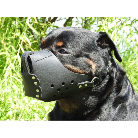 Botnita militara Rottweiler , confectionata din piele naturala