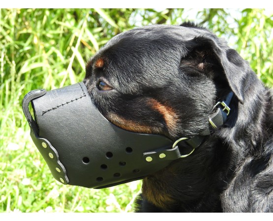 Botnita militara Rottweiler , confectionata din piele naturala
