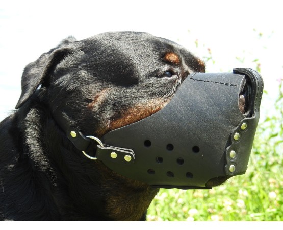 Botnita militara Rottweiler , confectionata din piele naturala