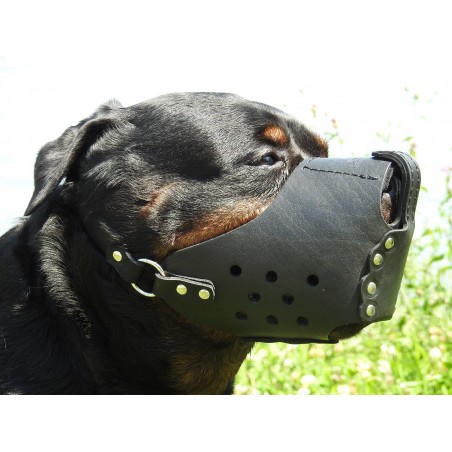 Botnita militara Rottweiler , confectionata din piele naturala