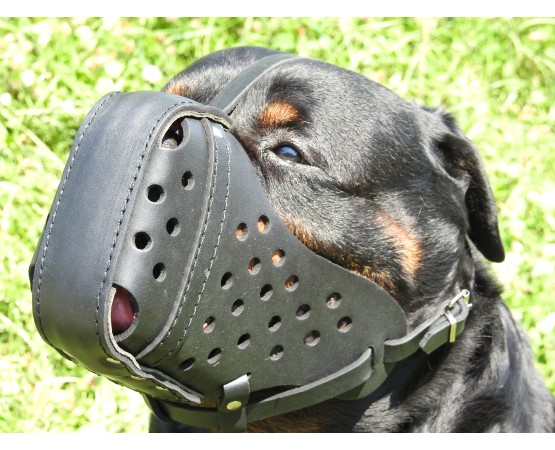 Botnita politie Rottweiler , confectionata din piele naturala