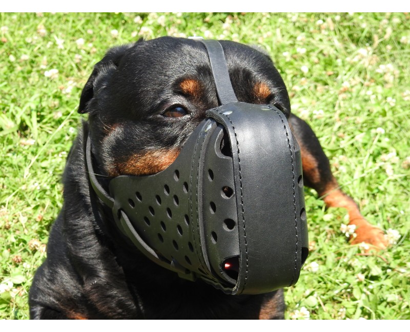 Botnita politie Rottweiler , confectionata din piele naturala