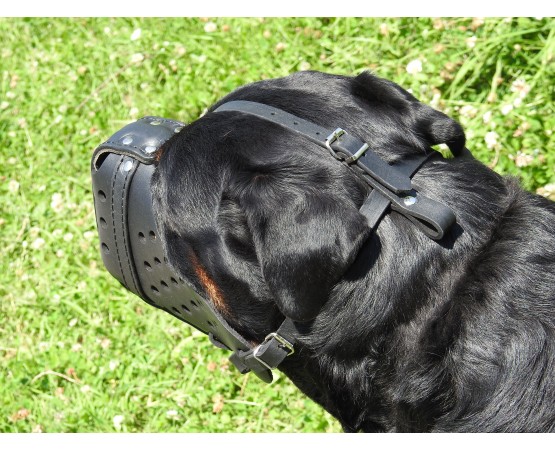 Botnita politie Rottweiler , confectionata din piele naturala