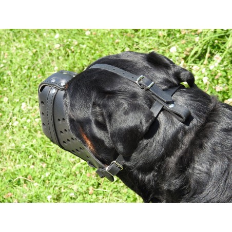 Botnita politie Rottweiler , confectionata din piele naturala