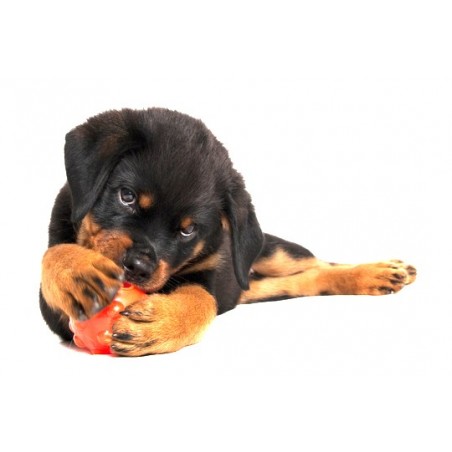 Jucarie interactiva pentru caini Jolly Jumper