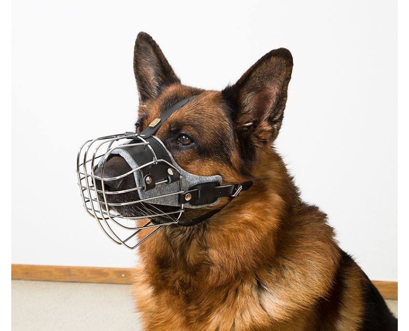 Botnita pentru Ciobanesc German