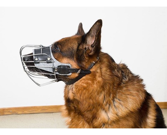 Botnita pentru Ciobanesc German