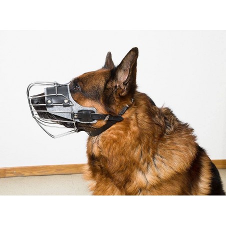 Botnita pentru Ciobanesc German