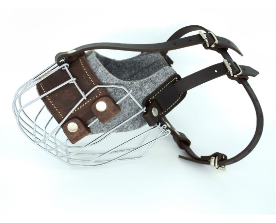 Botnita pentru Ciobanesc German