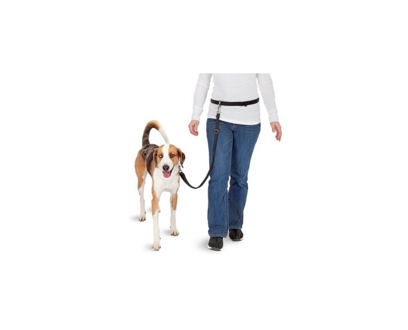 Centura alergare caini Doggy Exercise Leash