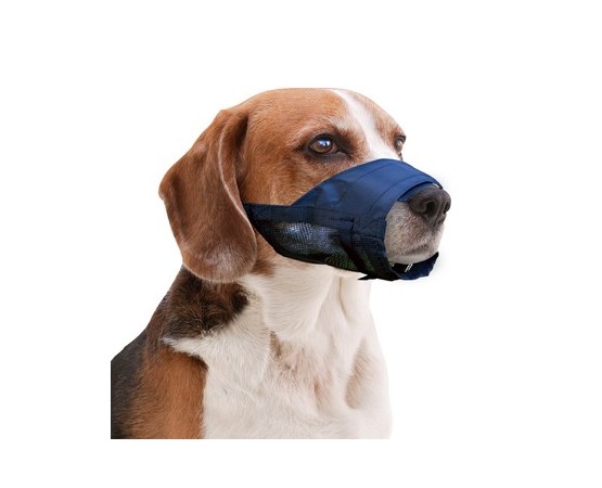 Botnita ajustabila pentru caini