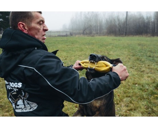 Perna de muscatura pentru dresaj canin , din material francez