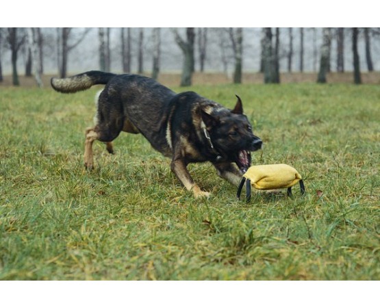 Perna de muscatura pentru dresaj canin , din material francez