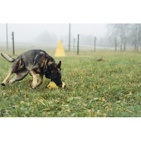 Perna de muscatura pentru dresaj canin , din material francez