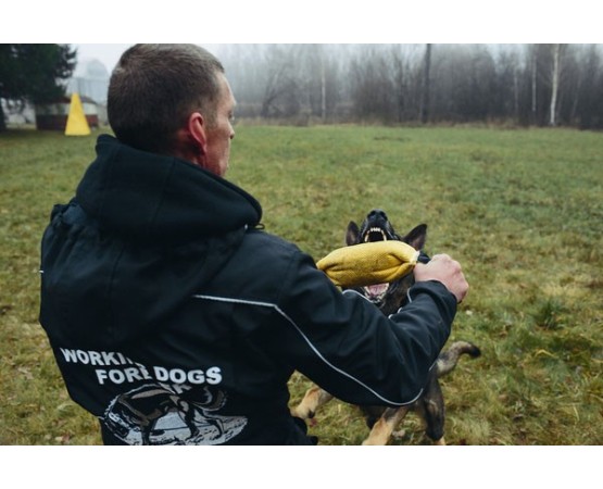 Perna de muscatura pentru dresaj canin , din material francez