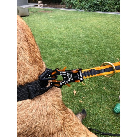 Lesa tactica pentru caini utilitari Euro Joe