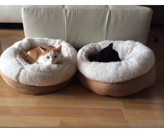 Pat pentru caini si pisici LambsWool Donut Bed