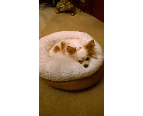 Pat pentru caini si pisici LambsWool Donut Bed