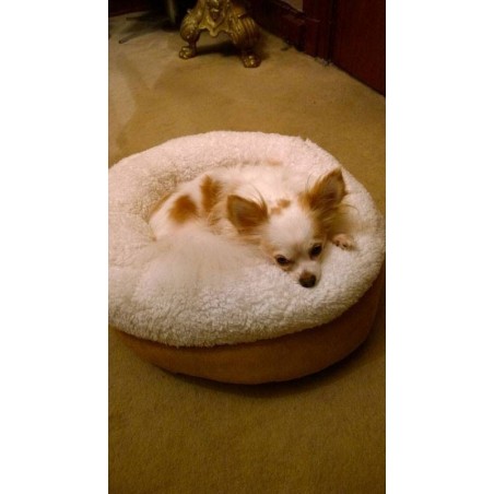 Pat pentru caini si pisici LambsWool Donut Bed