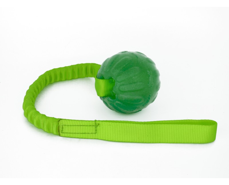 Minge pentru dresaj  everlasting ball cu expander