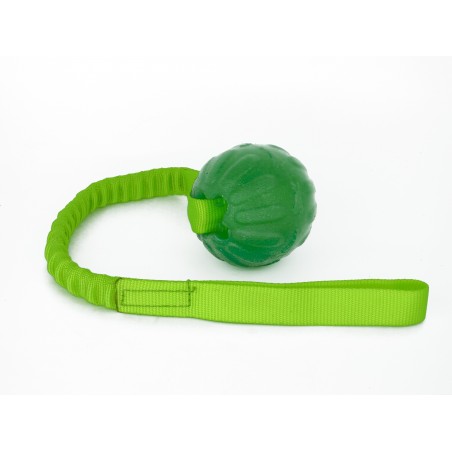 Minge pentru dresaj  everlasting ball cu expander