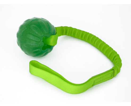 Minge pentru dresaj  everlasting ball cu expander