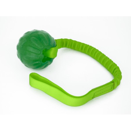 Minge pentru dresaj  everlasting ball cu expander