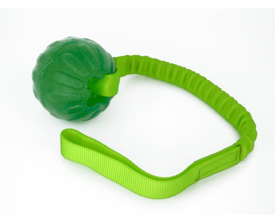 Minge pentru dresaj  everlasting ball cu expander