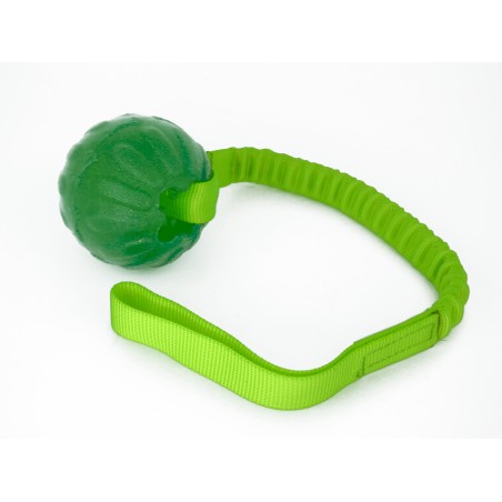 Minge pentru dresaj  everlasting ball cu expander