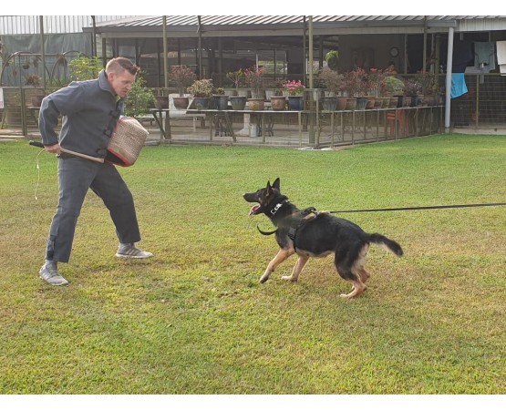 Pantaloni tip salopeta IPO / IGP