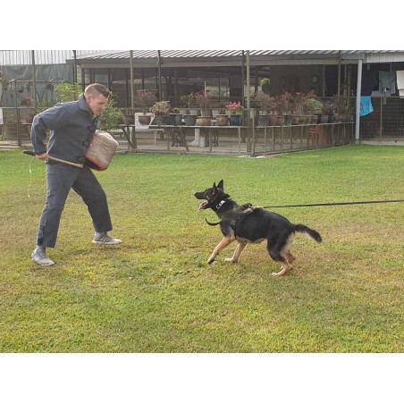 Pantaloni tip salopeta IPO / IGP