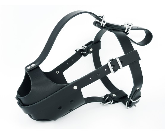 Botnita din piele naturala pentru femela Amstaff & Pitt Bull