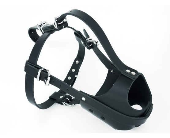 Botnita din piele naturala pentru femela Amstaff & Pitt Bull