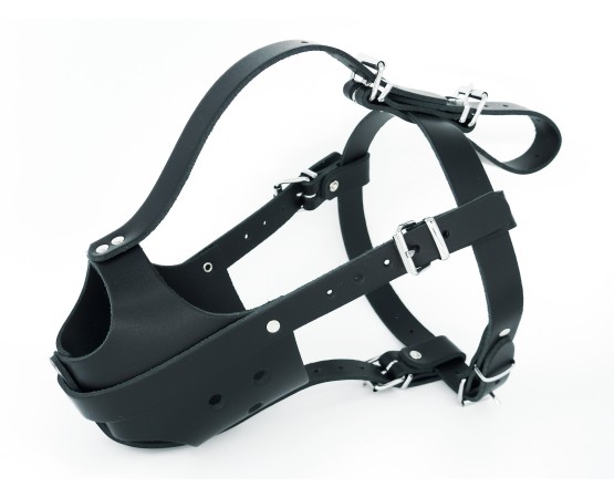 Botnita din piele naturala pentru femela Amstaff & Pitt Bull
